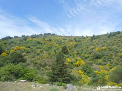 Mojonavalle - Sestil de Maillo: Bosques de Canencia;viajes de montaña rutas toledo gratis fotos cala